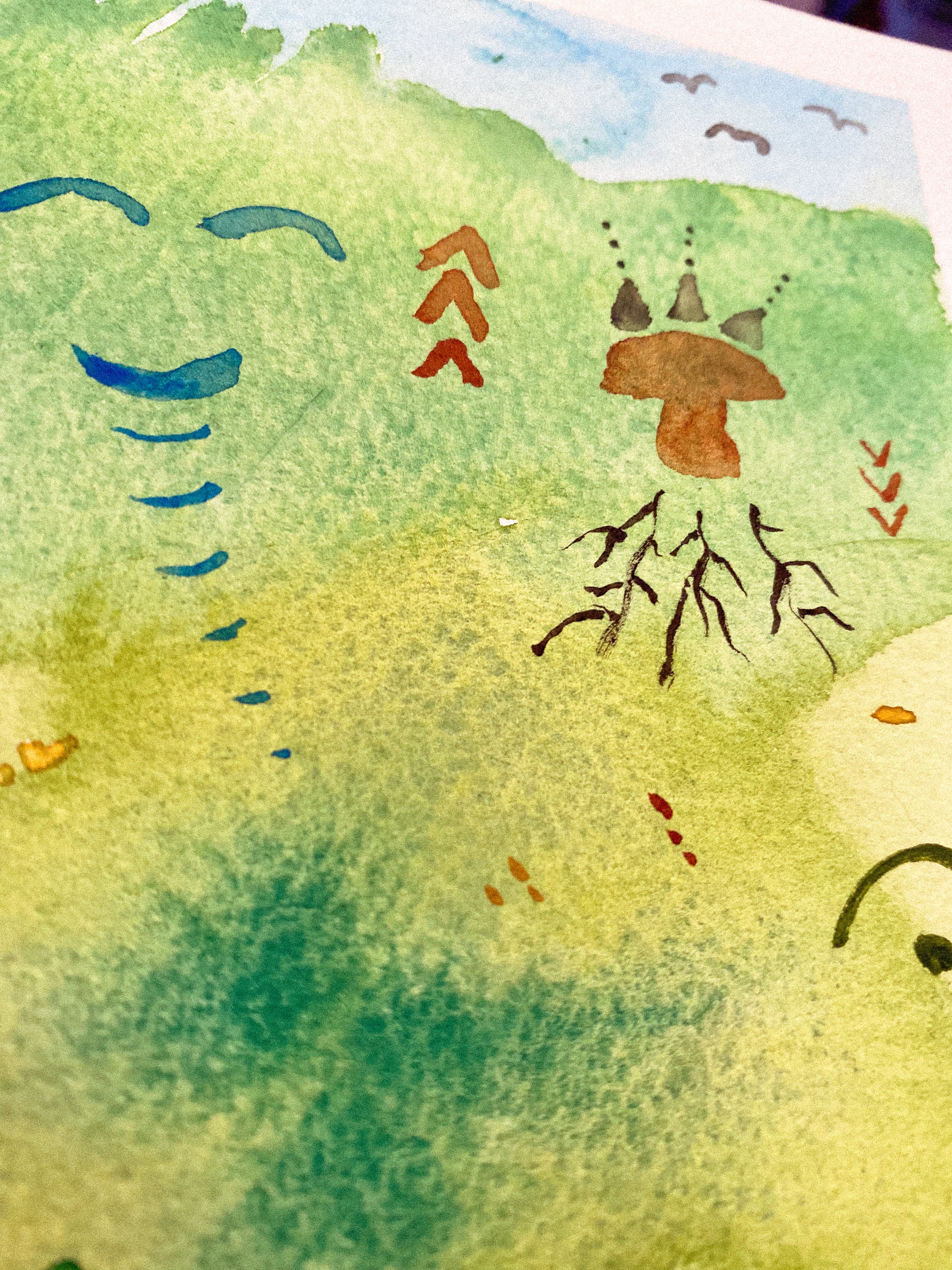 Watercolor on paper (M1)