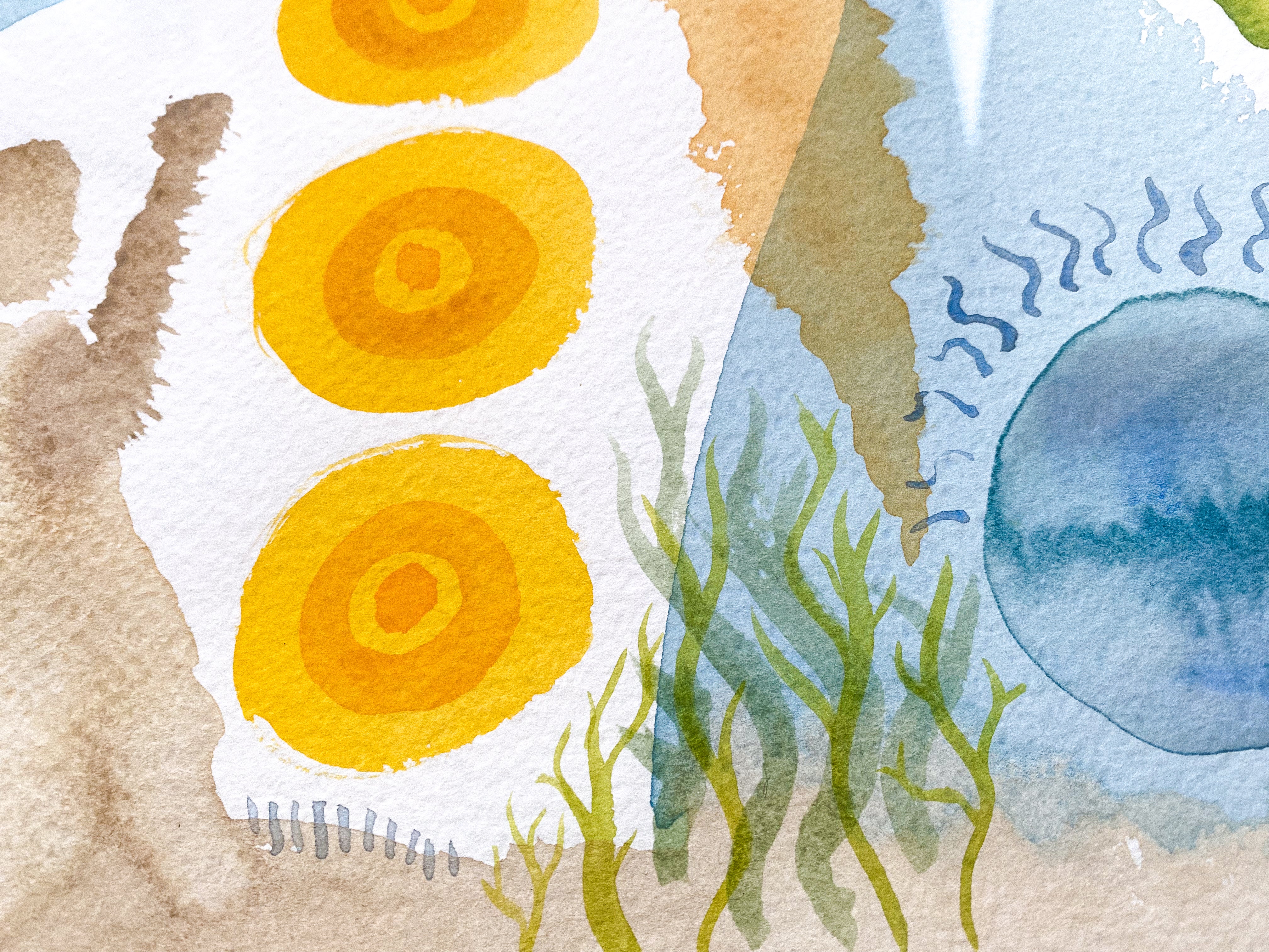 Watercolor on paper (L4)